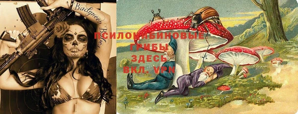 МДПВ Алексеевка
