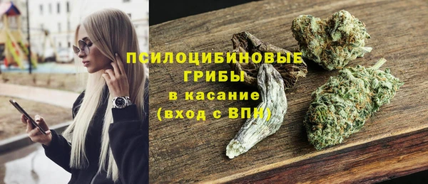 СК Алексин