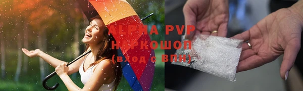 СК Алексин
