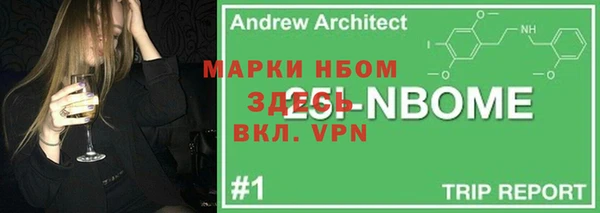 СК Алексин
