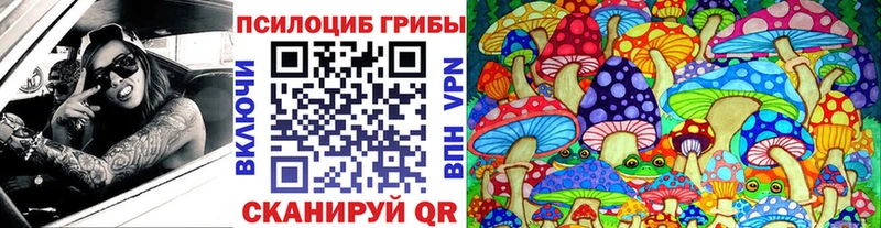 Псилоцибиновые грибы мицелий Малаховка